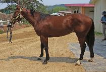 ���ȯȣ (GIPPEUM HWANHO) ����