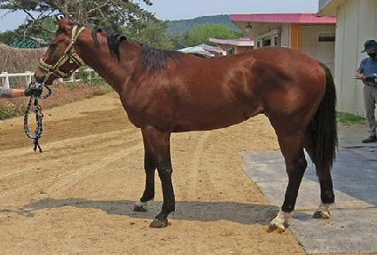 ���ȯȣ ����