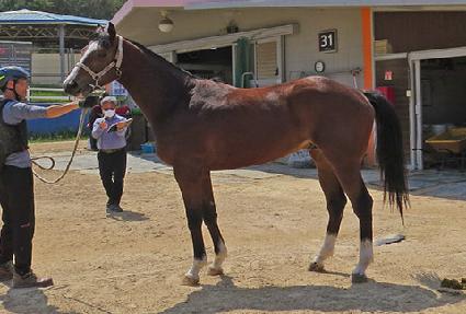 ��Ʋ�߶� ����