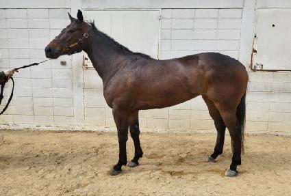 �������� ����