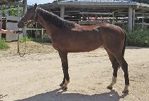 ���ž (USEUNG TAP) ����