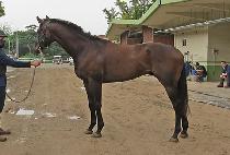 û���� (CHEONGGYE GISANG) ����