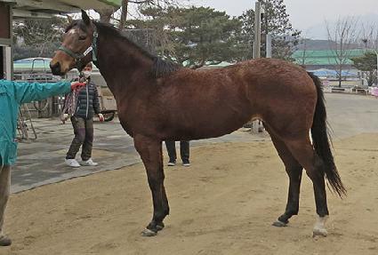 �Ѱ����� ����