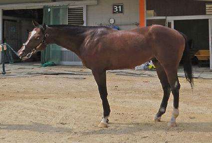 ��Ÿ������ ����