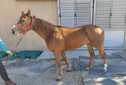 �۷�����Ƽ ����