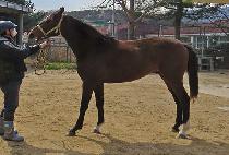 ���̽��� (NICE JOHN) ����