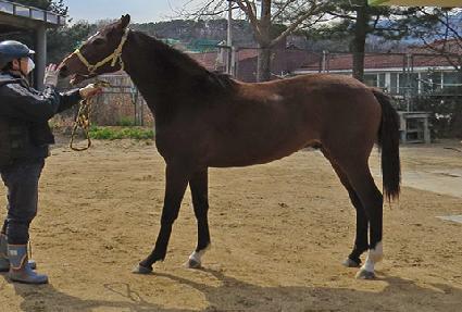 ���̽��� ����