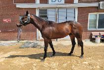 ����Ʈ��� (BEST DUO) ����