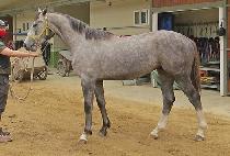 �����ξƳ� (SUNSHINE HONOR) ����