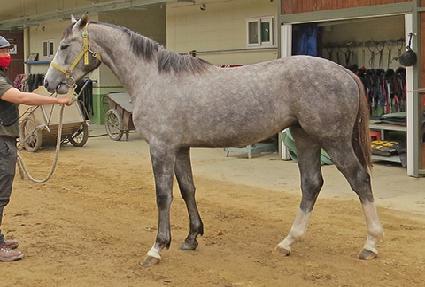 �����ξƳ� ����