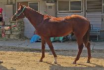 WORLD KING MAN picture