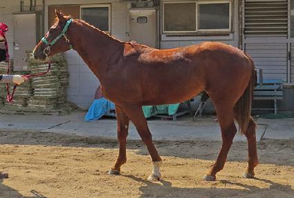 ����ŷ�� ����