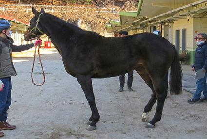 ���̽��� ����