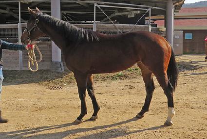 ���ø�Ʈ���� ����