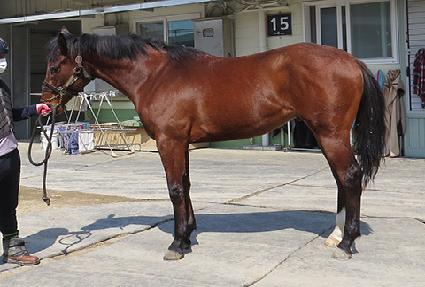 �Ƹ������� ����