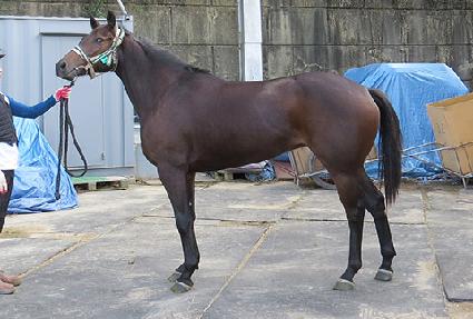 �̱��� ����