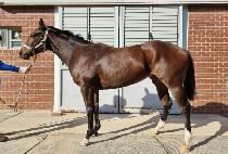 �������� (TODAY QUEEN) ����