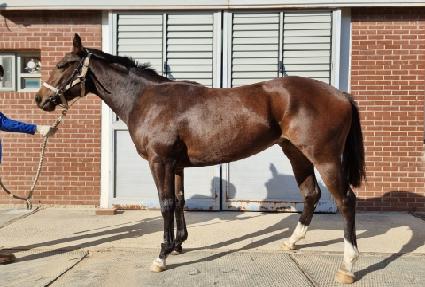 �������� ����