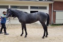 ���Ǿ籸 (SEONGSIL YANGGU) ����