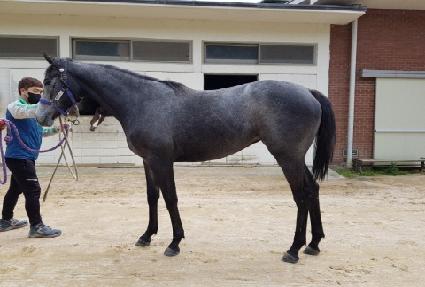 ���Ǿ籸 ����