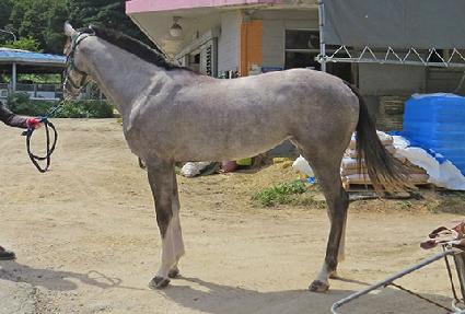 �ݾƽ��׵� ����