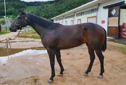 �ϸ� ����