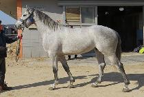 ���Ŀ�Ʈ (LAFAYETTE) ����