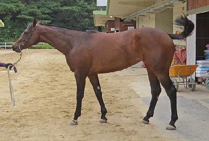 �����ø��� ����