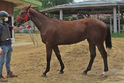 �Ǵн����� ����