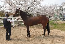 �¿ս��� (TAEWANG STORM) ����