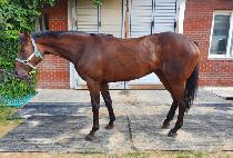 ����Ŭ�� (SPARKLE QUEEN) ����