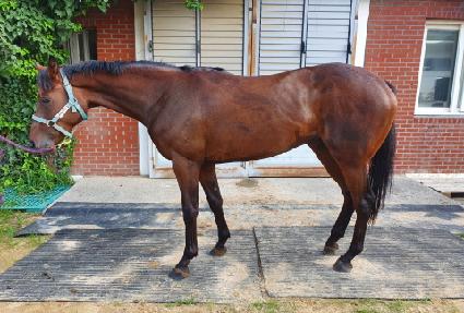 ����Ŭ�� ����