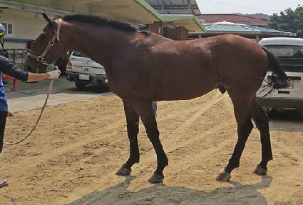 �ö�������Ʈ ����