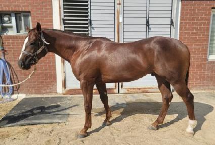 �������ö��� ����