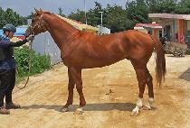 ����ũ��� (SEONGEUN CROWN) ����