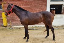 ��Ű��Ʈ��Ʈ (LUCKY STREET) ����