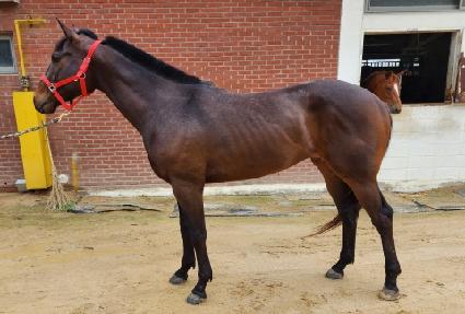 ��Ű��Ʈ��Ʈ ����