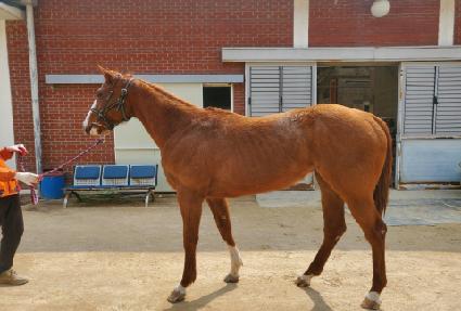 ���׷��佺 ����