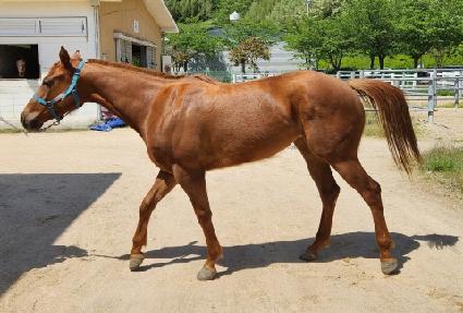 ���̴׸�� ����