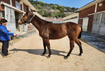 ���������� ����