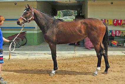 ���̳��ͼ� ����