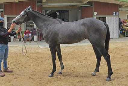 �����̺� ����