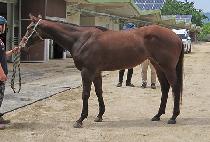 ���ɺ�� (YEOGEOL BISANG) ����