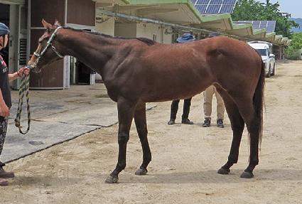 ���ɺ�� ����