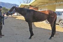 ��¦���� (KKAMJJAG SEONMUL) ����