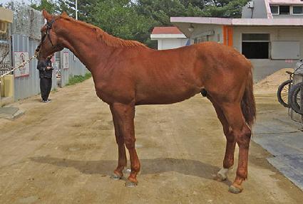 ������Ŭ���� ����