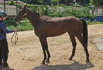 �̽�Ʈ��ī�� (EAST SKY) ����