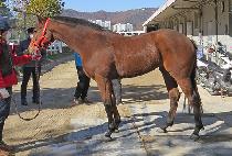 CHEONGWONCHAT picture