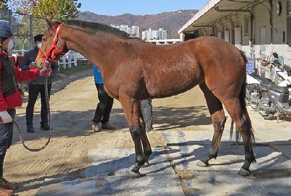 õ��ê ����