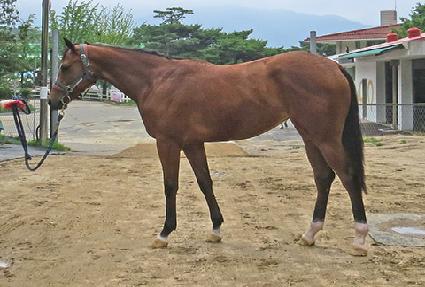 ���߷�Ŭ���� ����